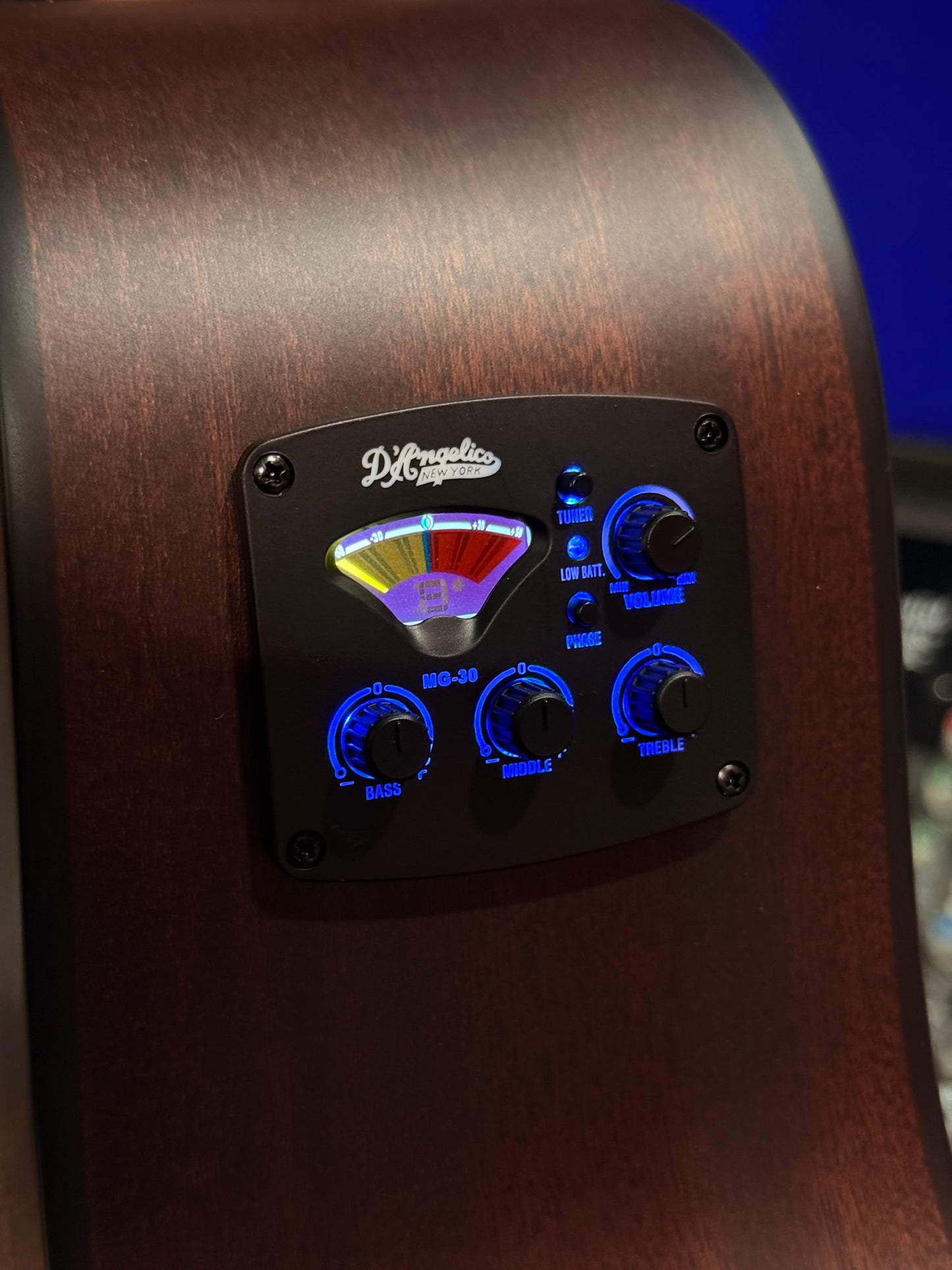 Dangelico LS Black 12 String