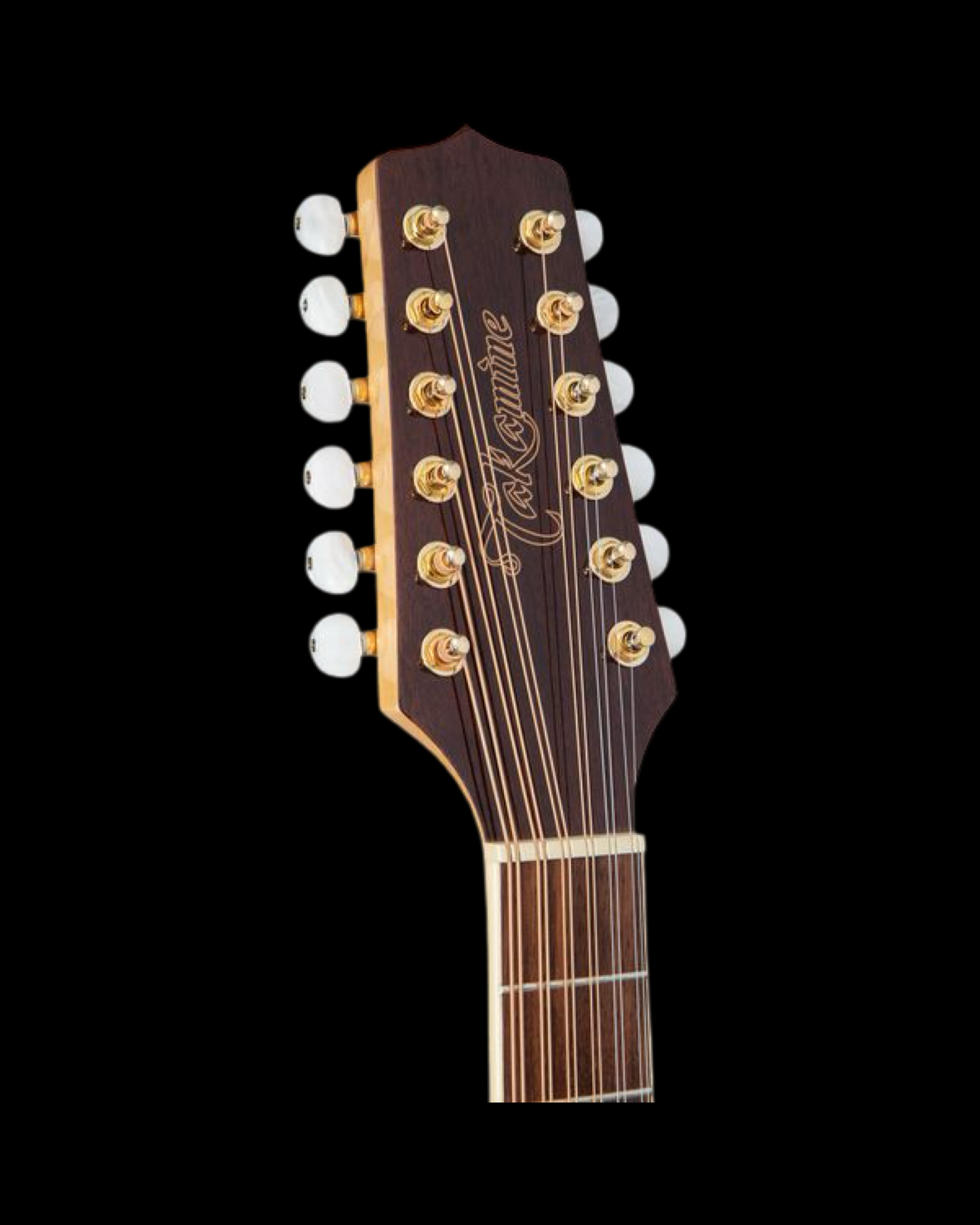 Takamine GD74CE-12U