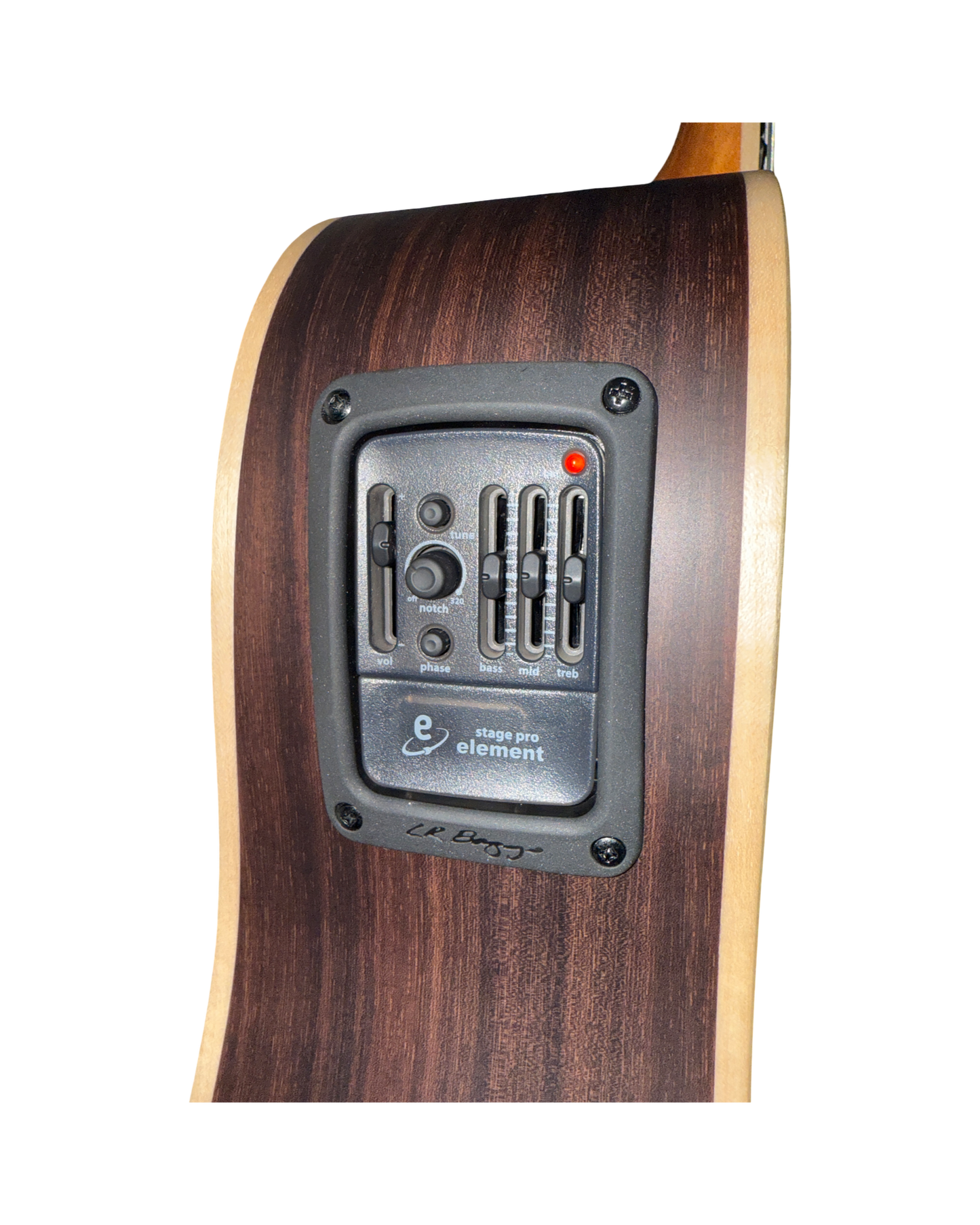Larrivee 12 String