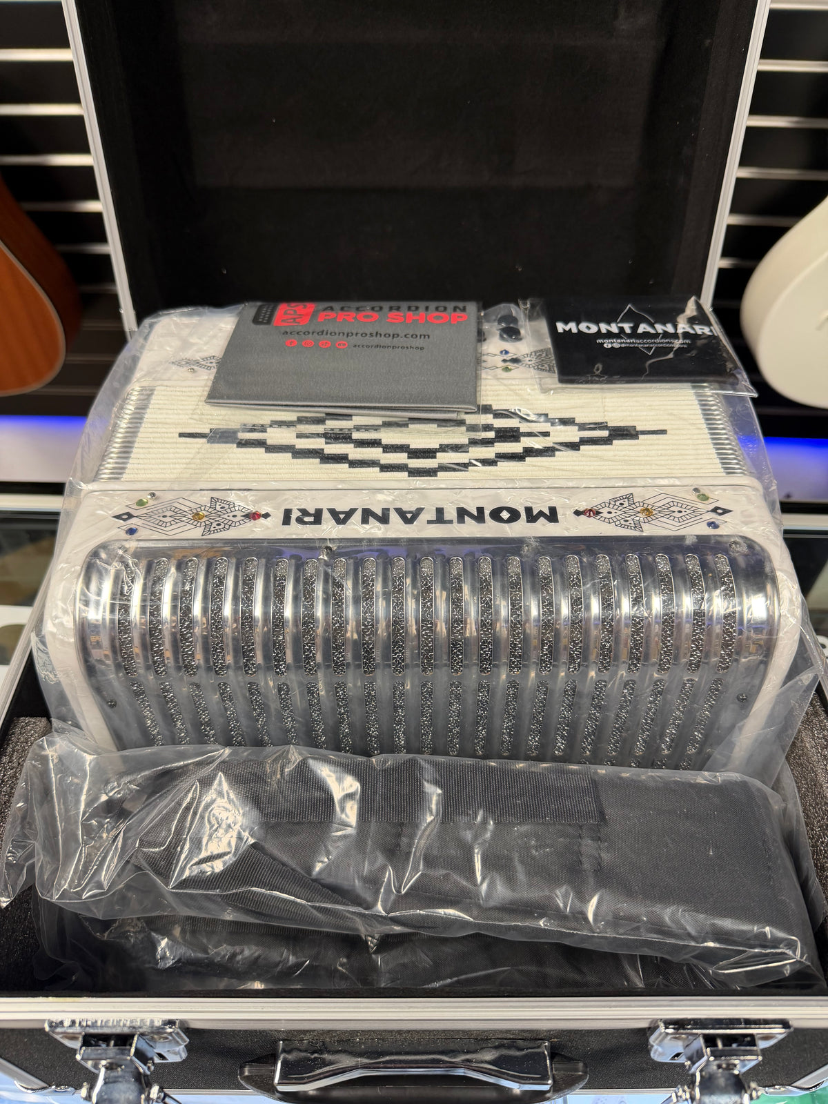Montanari Accordion 3112 White