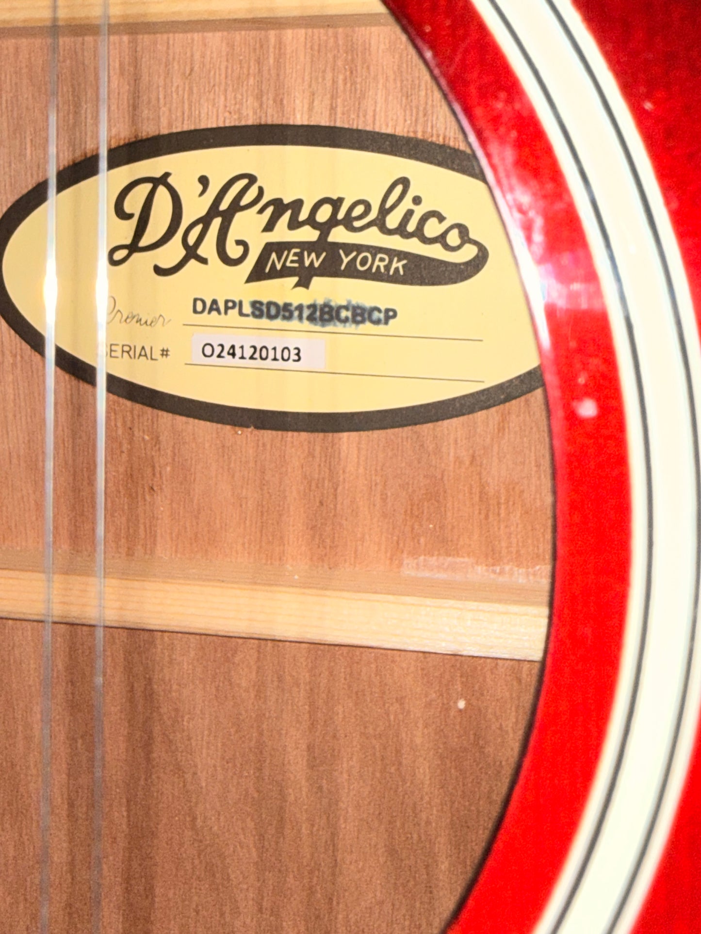 Dangelico Bowery 12 String