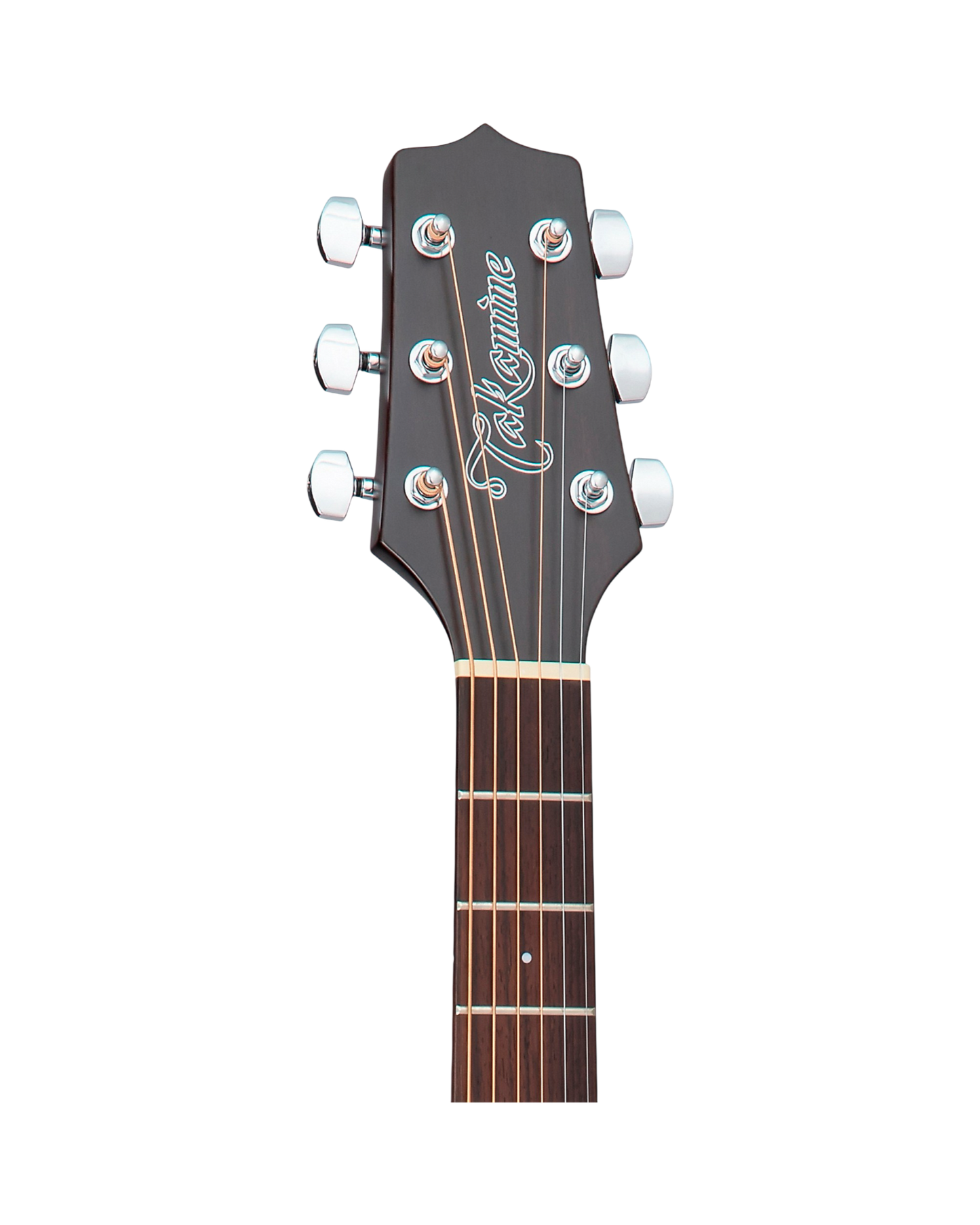 Takamine GD21CE
