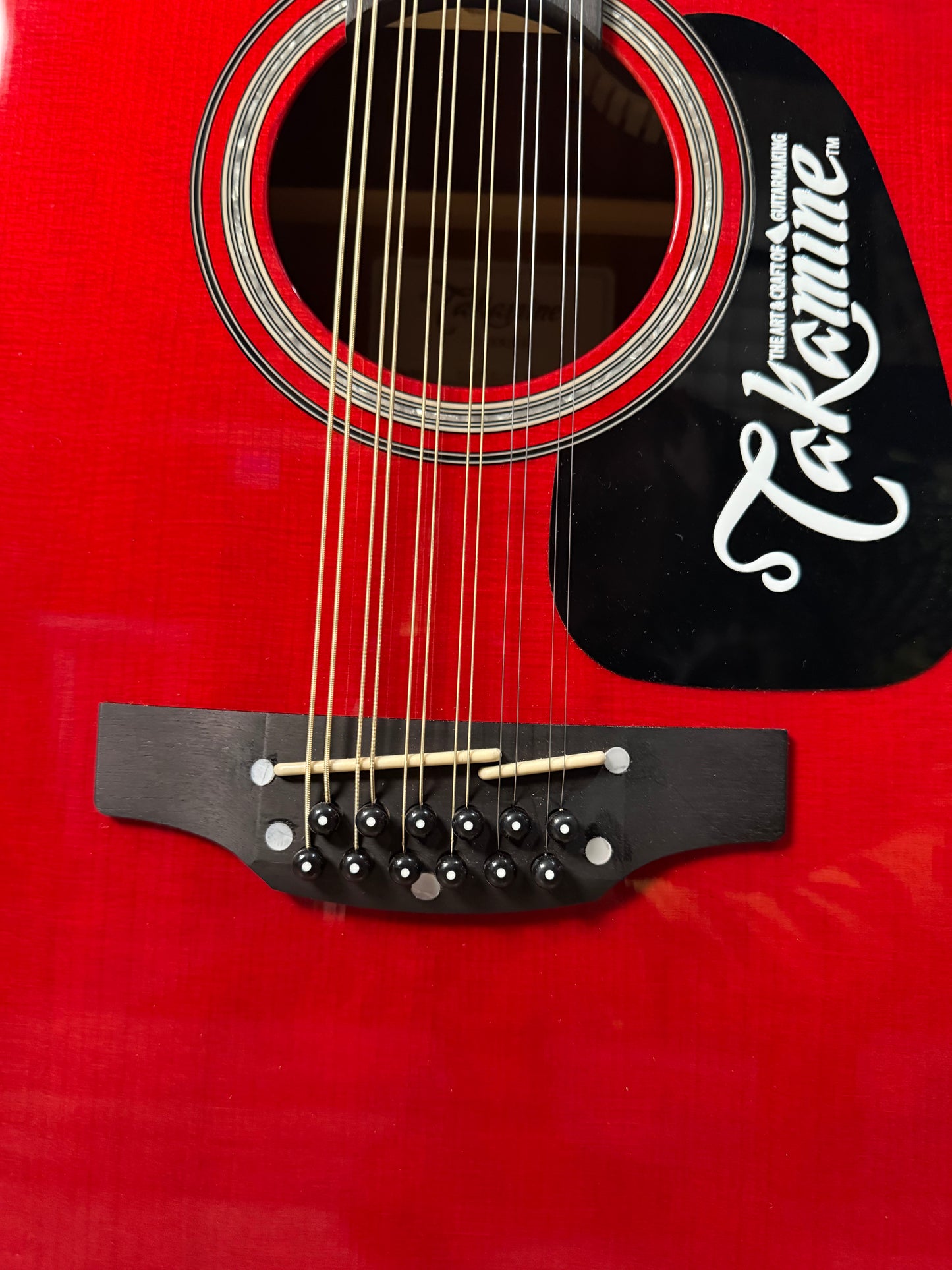 Takamine GD30ce-12 WR CUSTOM