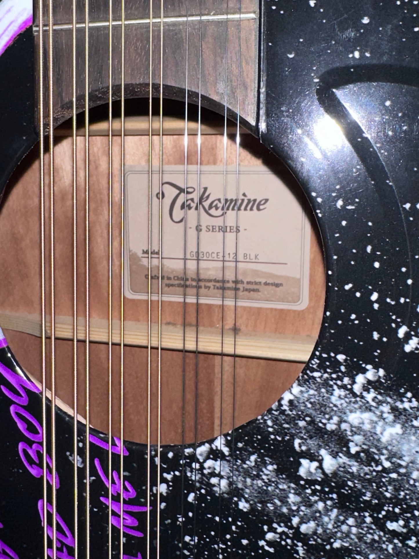 Takamine GD30CE-12 Custom Sad Boys Wrap