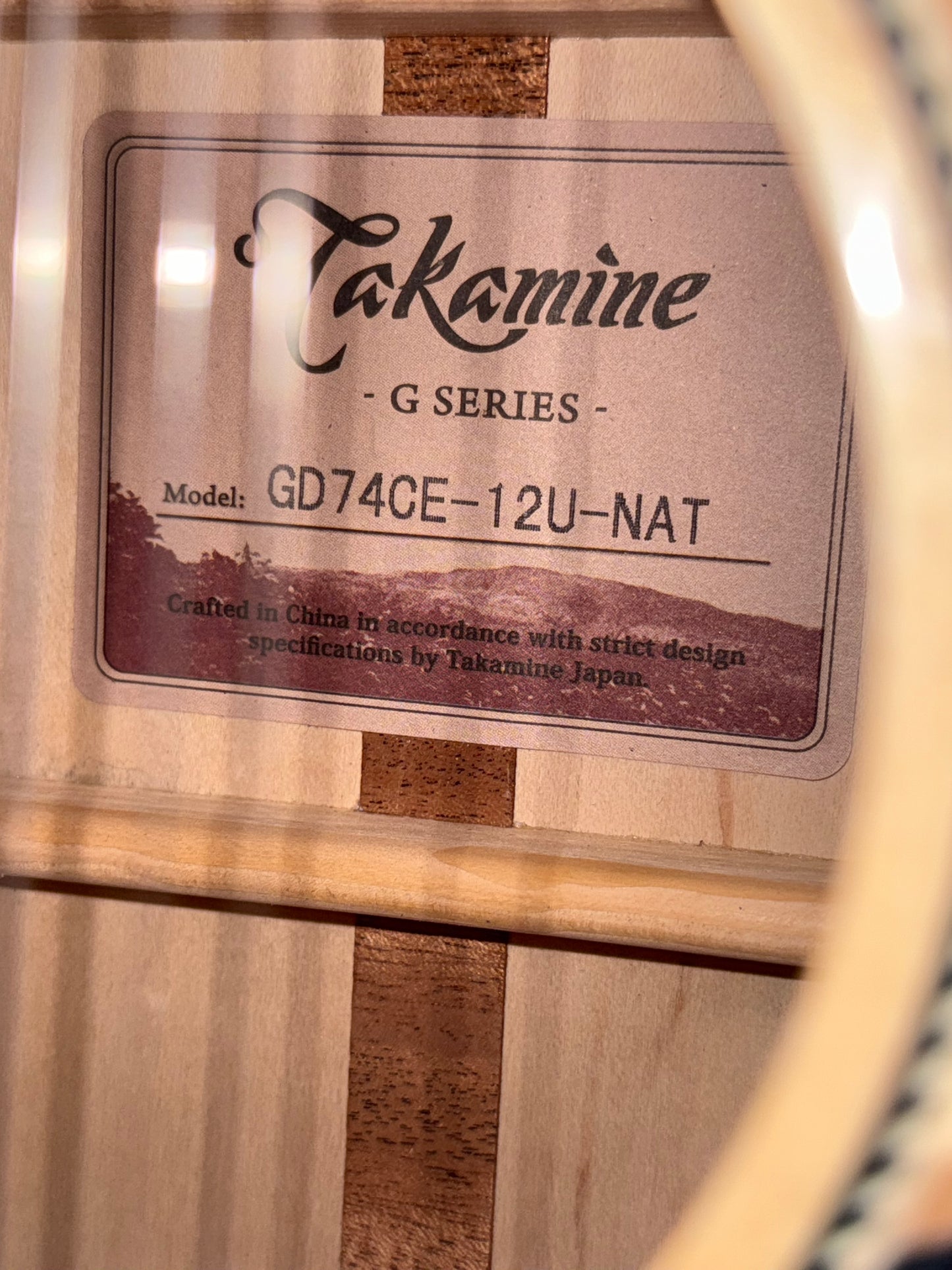 Takamine GD74CE-12U