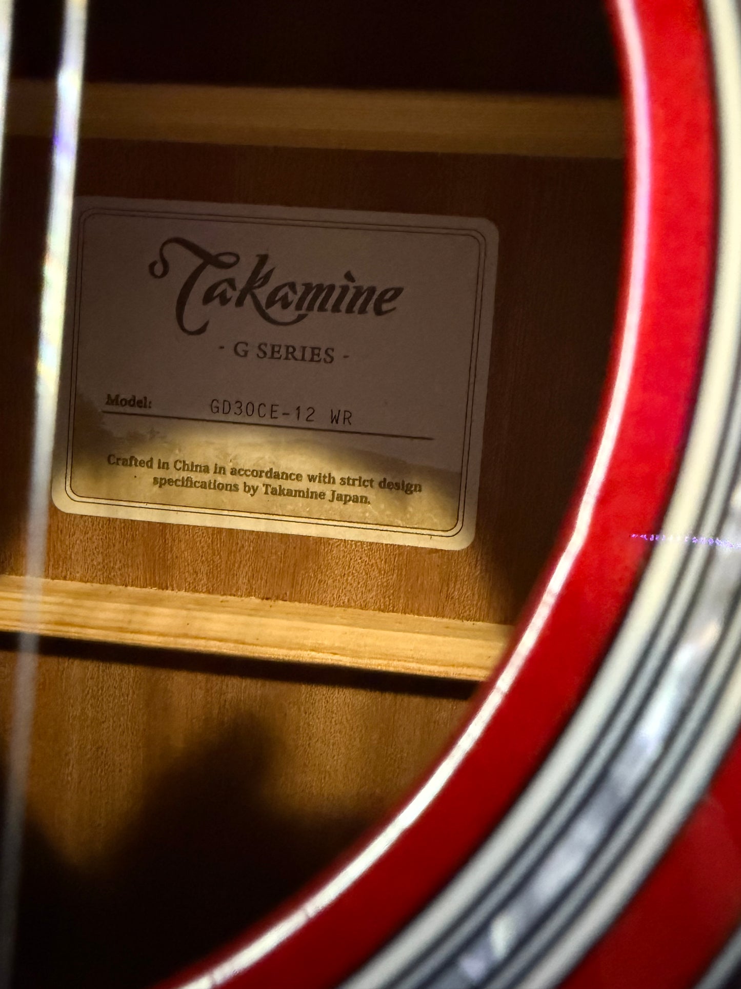 Takamine GD30ce-12 WR CUSTOM