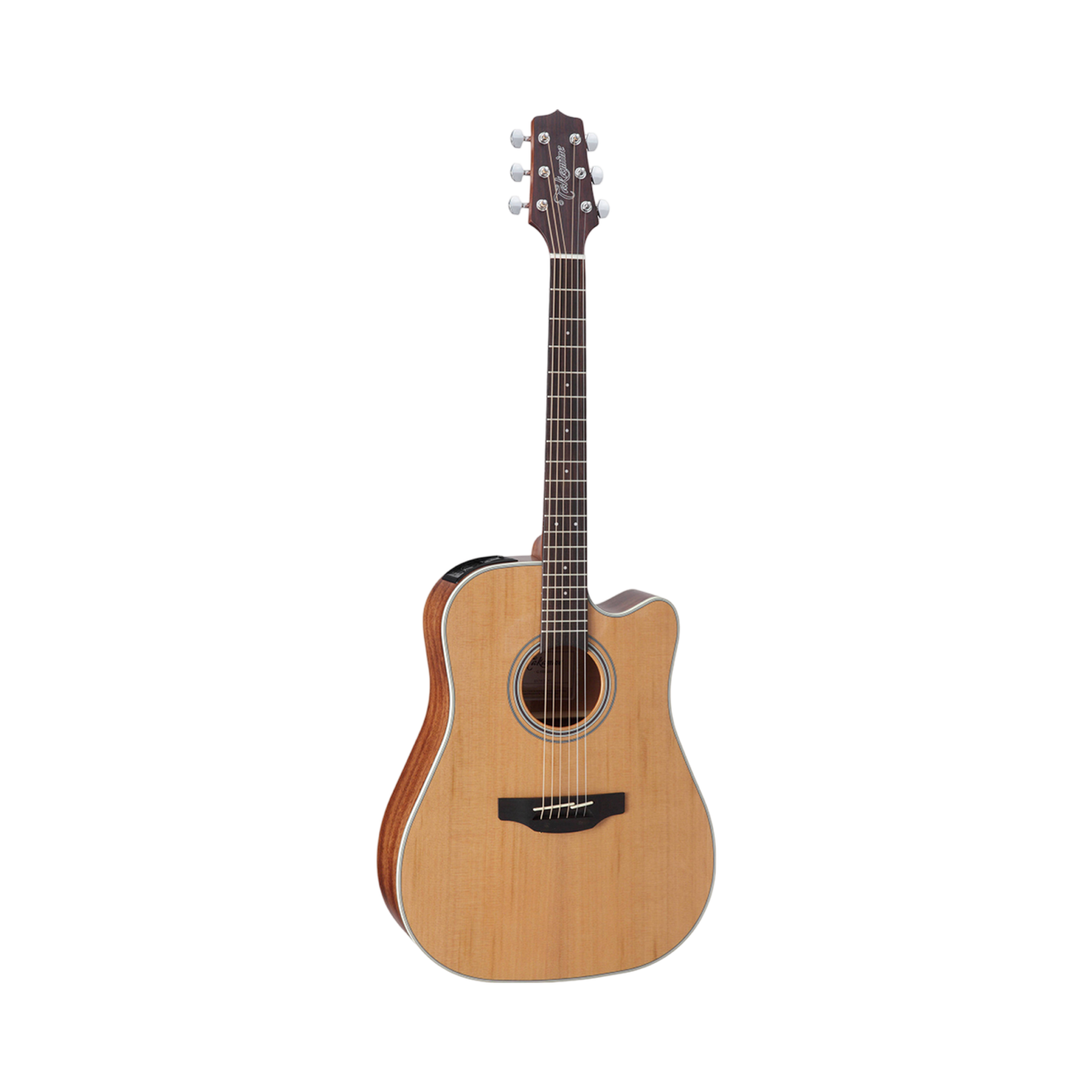 Takamine GD20CE