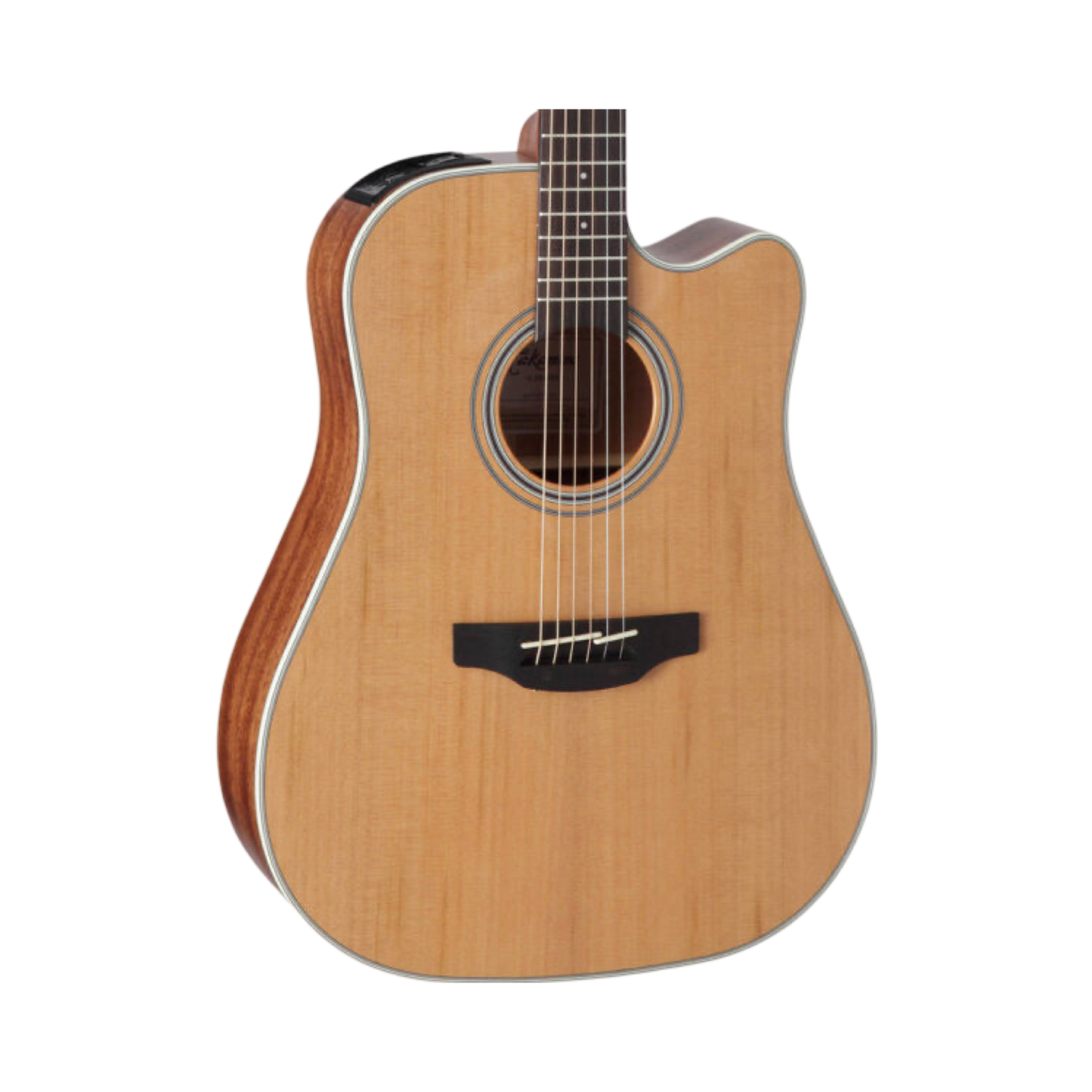 Takamine GD20CE