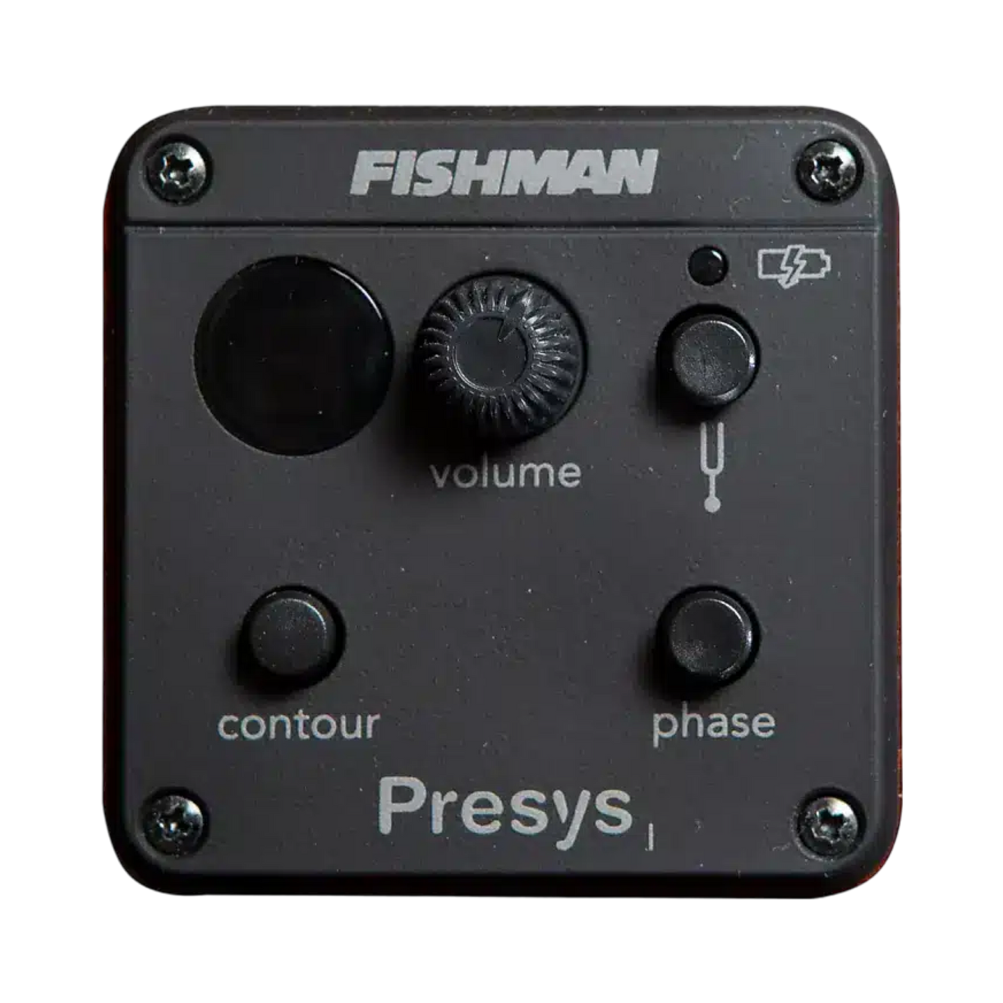 Breedlove Black 12 string