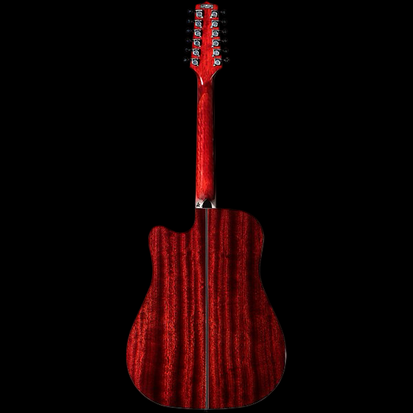 Takamine GD30CE-12 WR