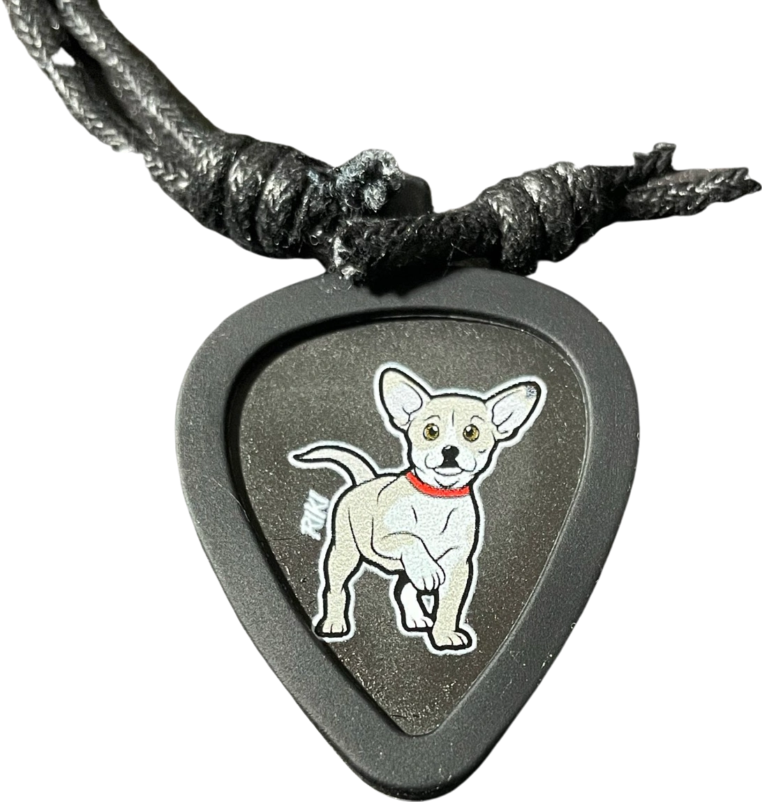 Riki Necklace with 5 picks