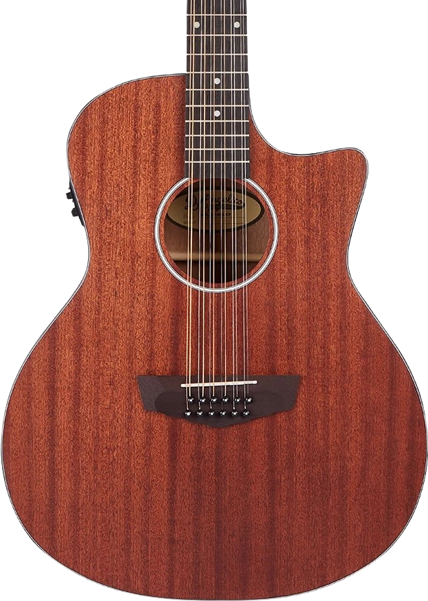 D'angelico 12 String