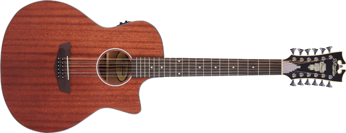 D'angelico 12 String