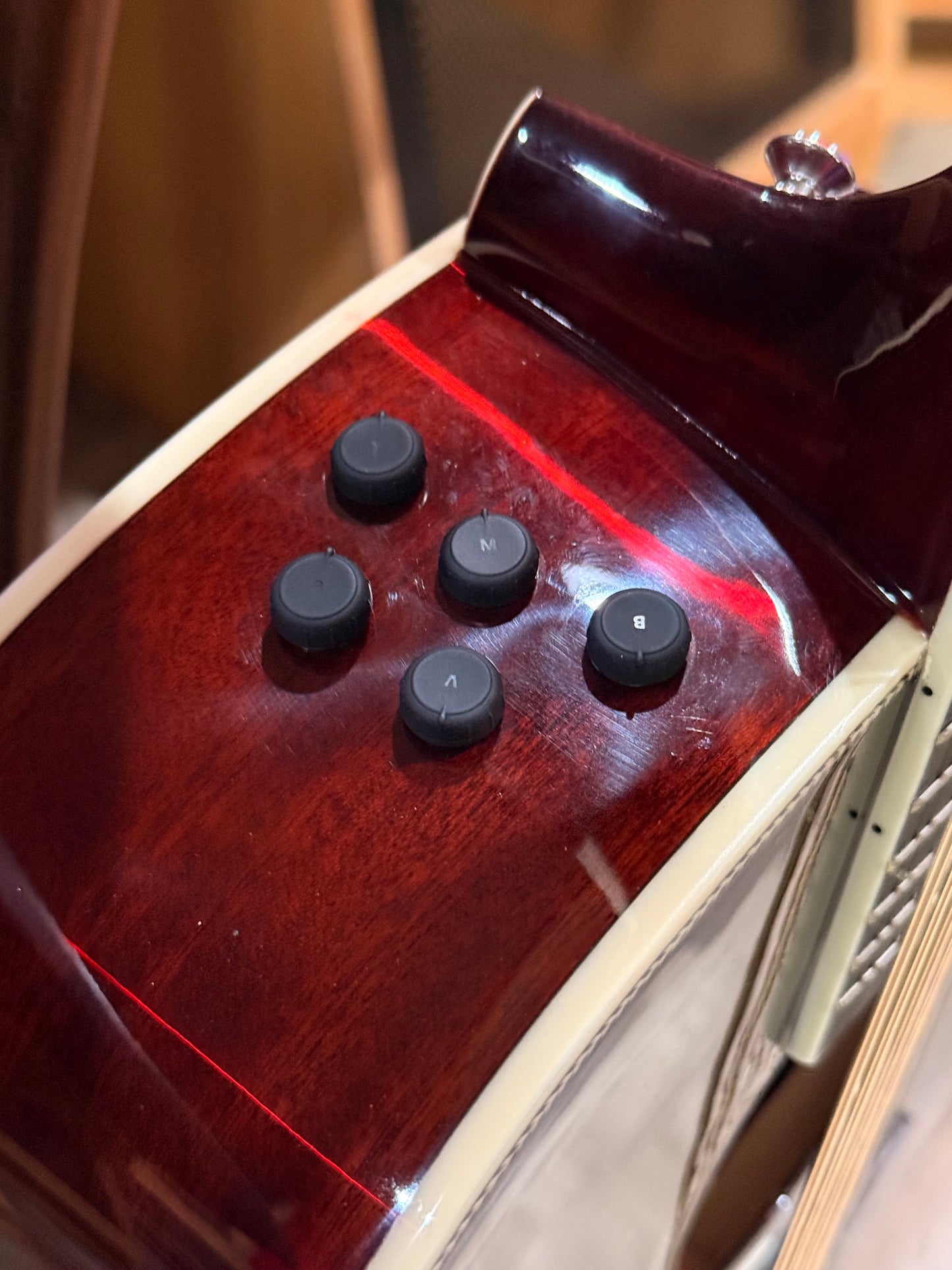 Taguima sierreña 12 string BLk