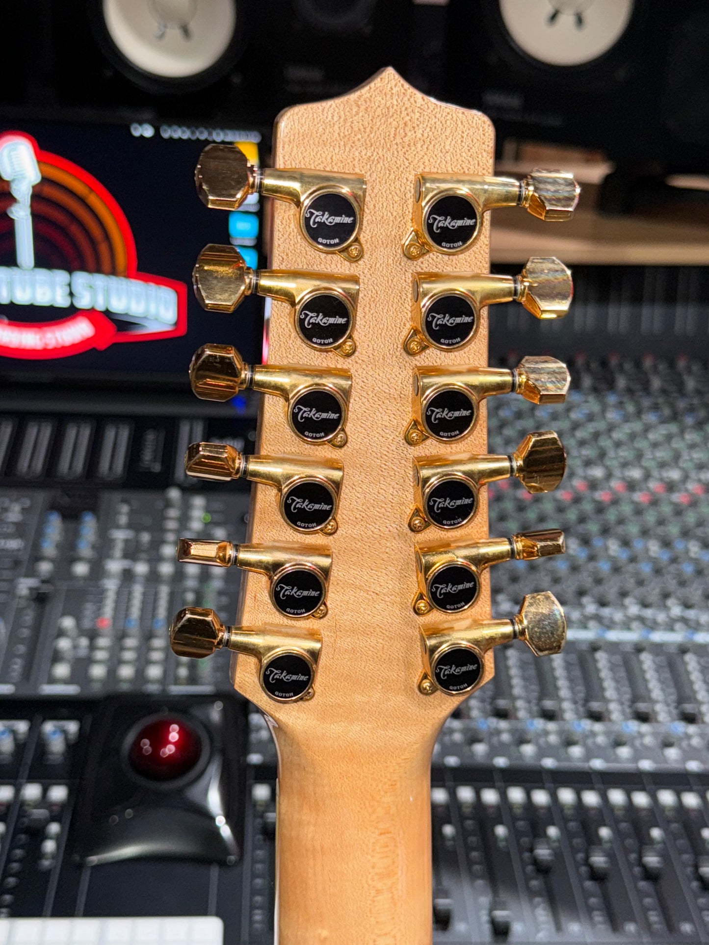 Takamine TF250 SMC-12