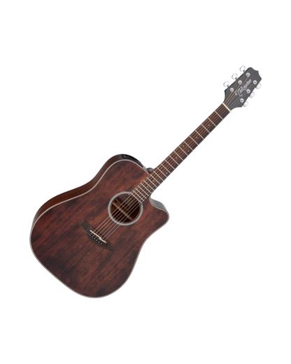 Takamine GD21CE