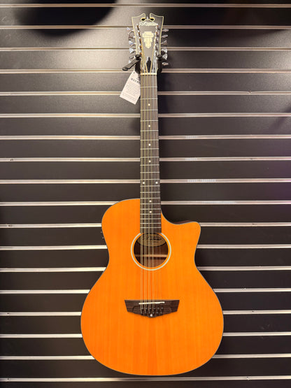 Dangelico LS Fulton 12 String