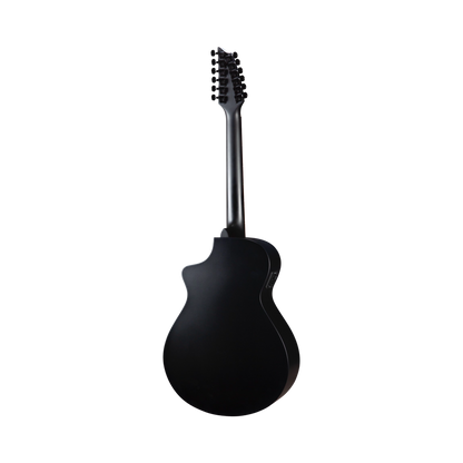 Breedlove Black 12 string