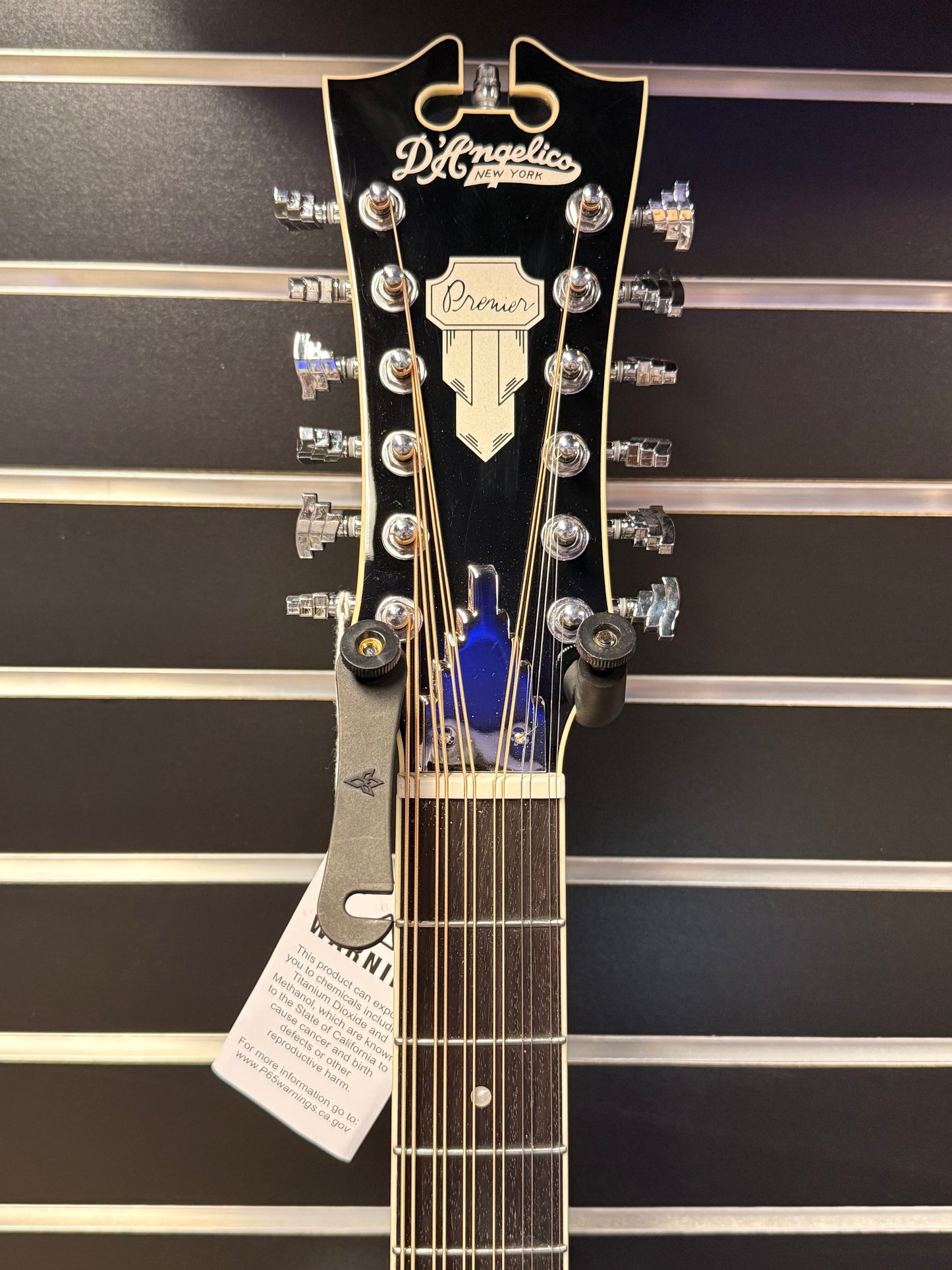 Dangelico Bowery 12 String