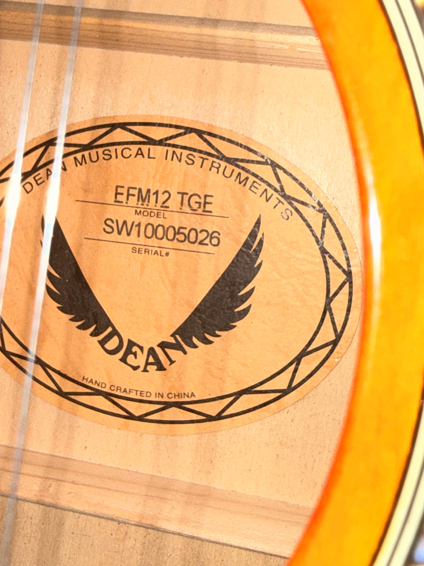 Dean 12 String Acoustic Guitar