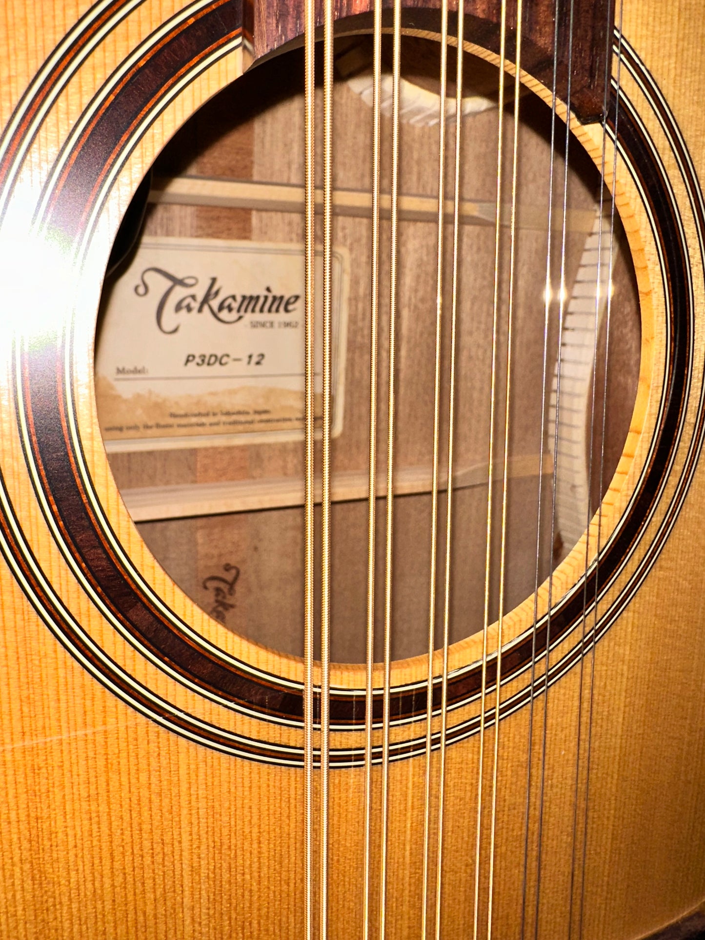 Takamine P3DC-12