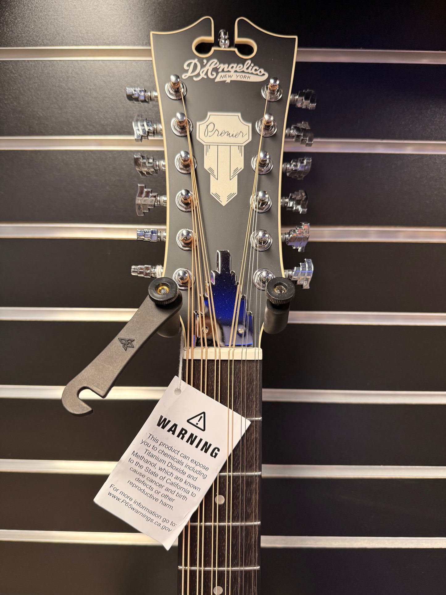 Dangelico Bowery 12 String Nat