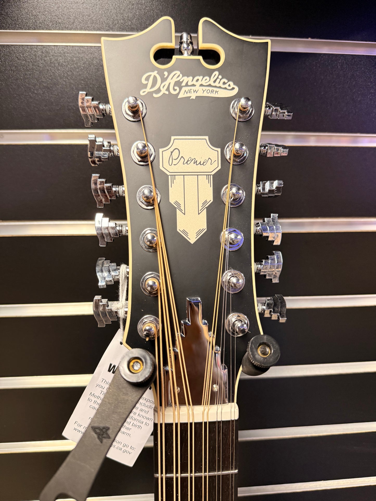 Dangelico LS Fulton 12 String