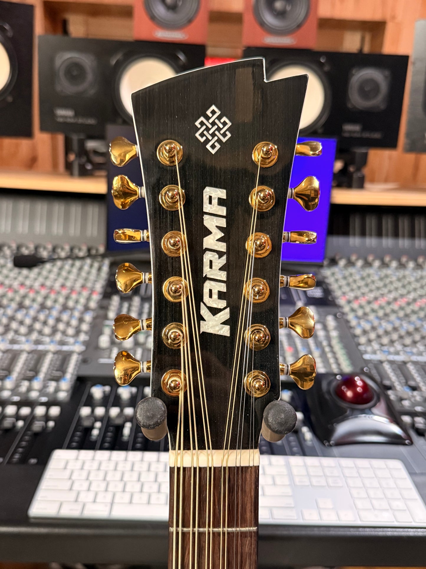 Karma infinity 12 String