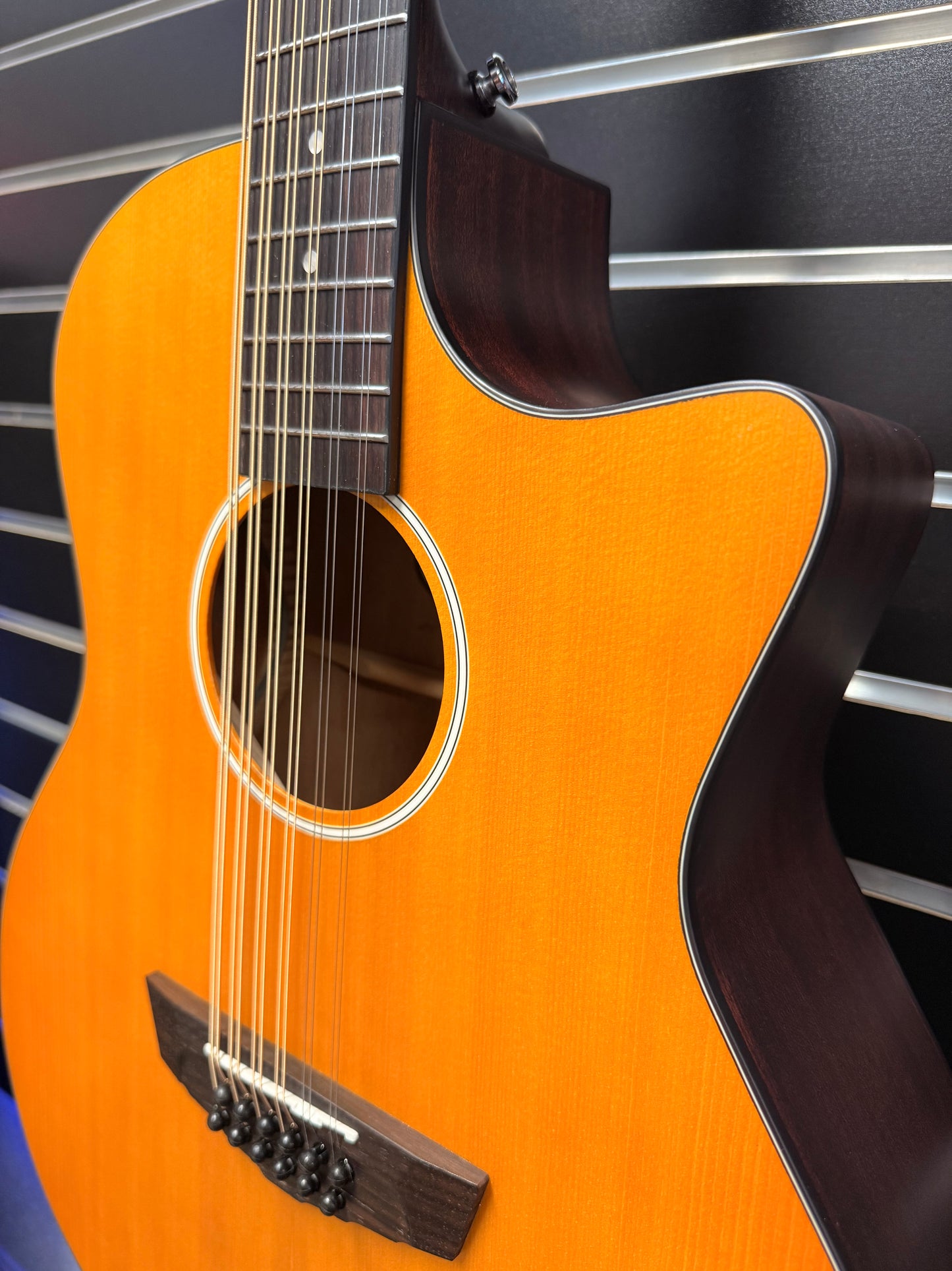 Dangelico LS Fulton 12 String