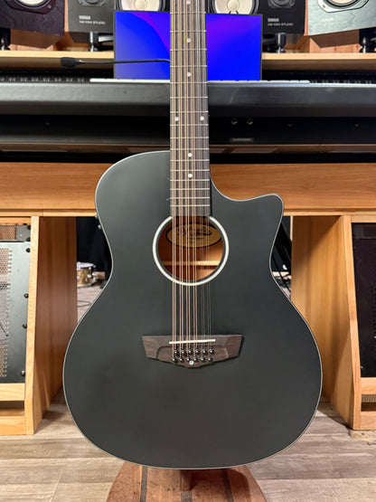 Dangelico LS Black 12 String