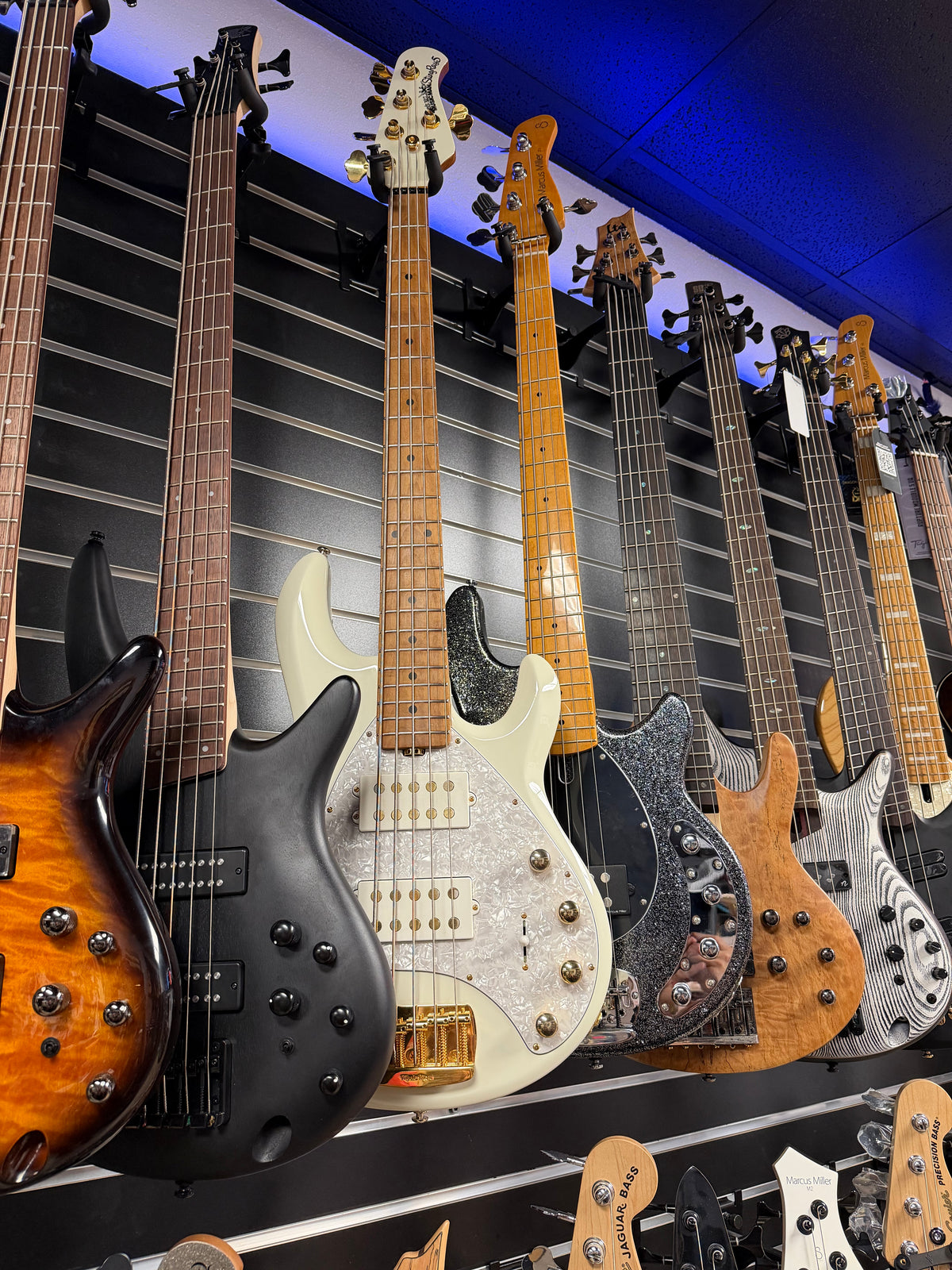 Music Man 5 String Bass