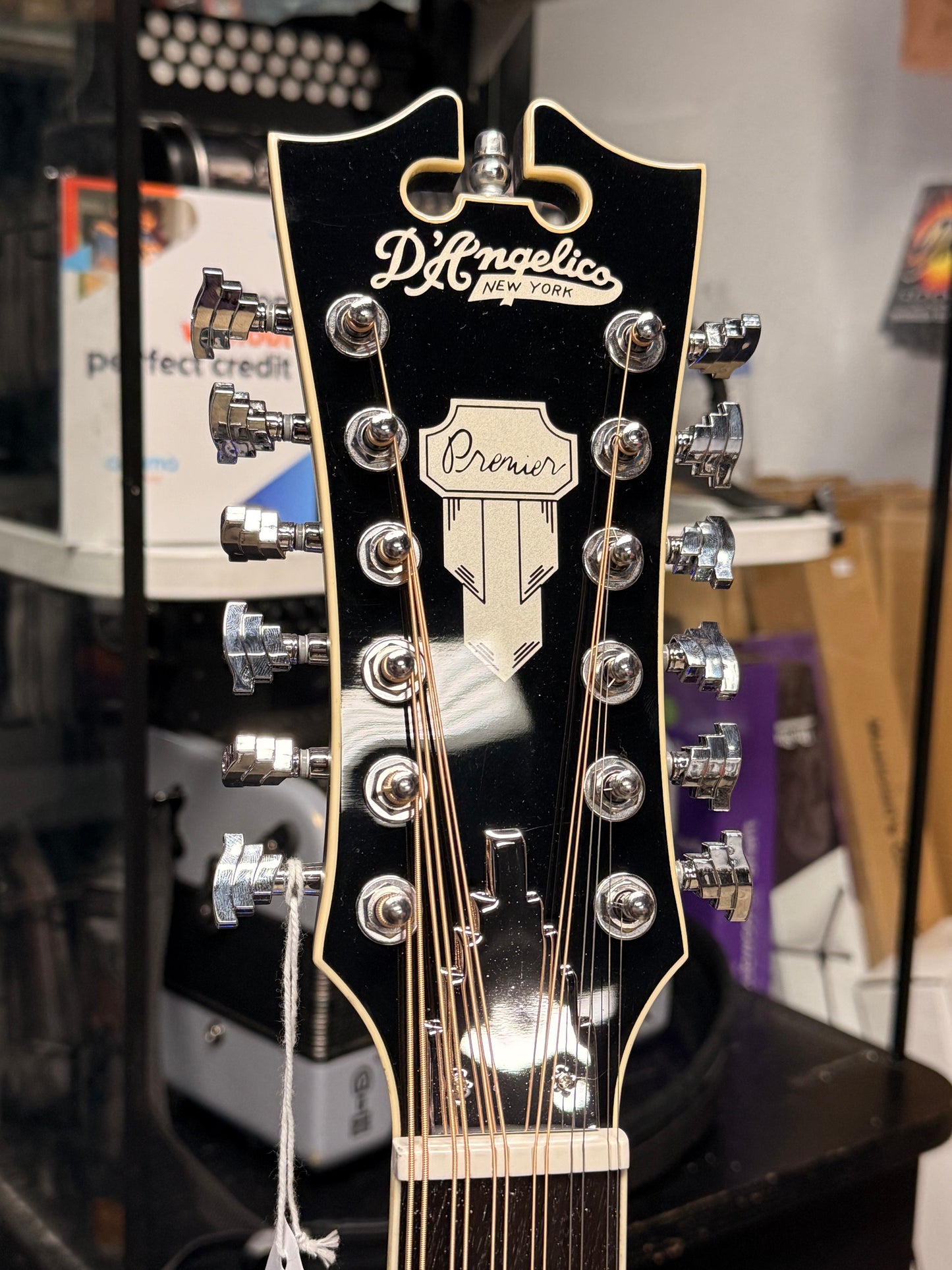 Dangelico Bowery 12 String