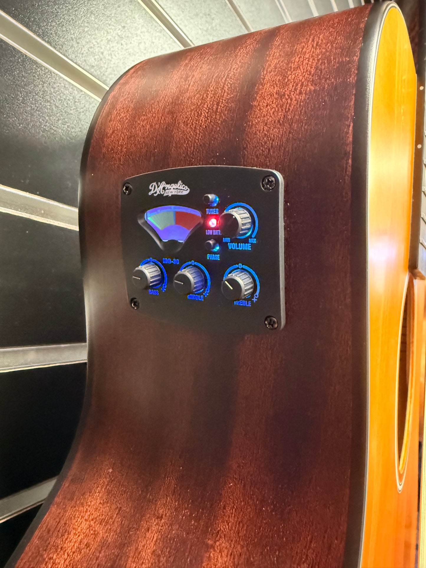 Dangelico LS Fulton 12 String