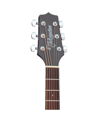 Takamine GD21CE