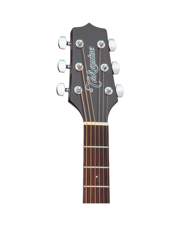 Takamine GD21CE