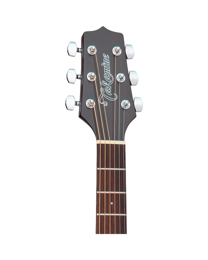 Takamine GD21CE