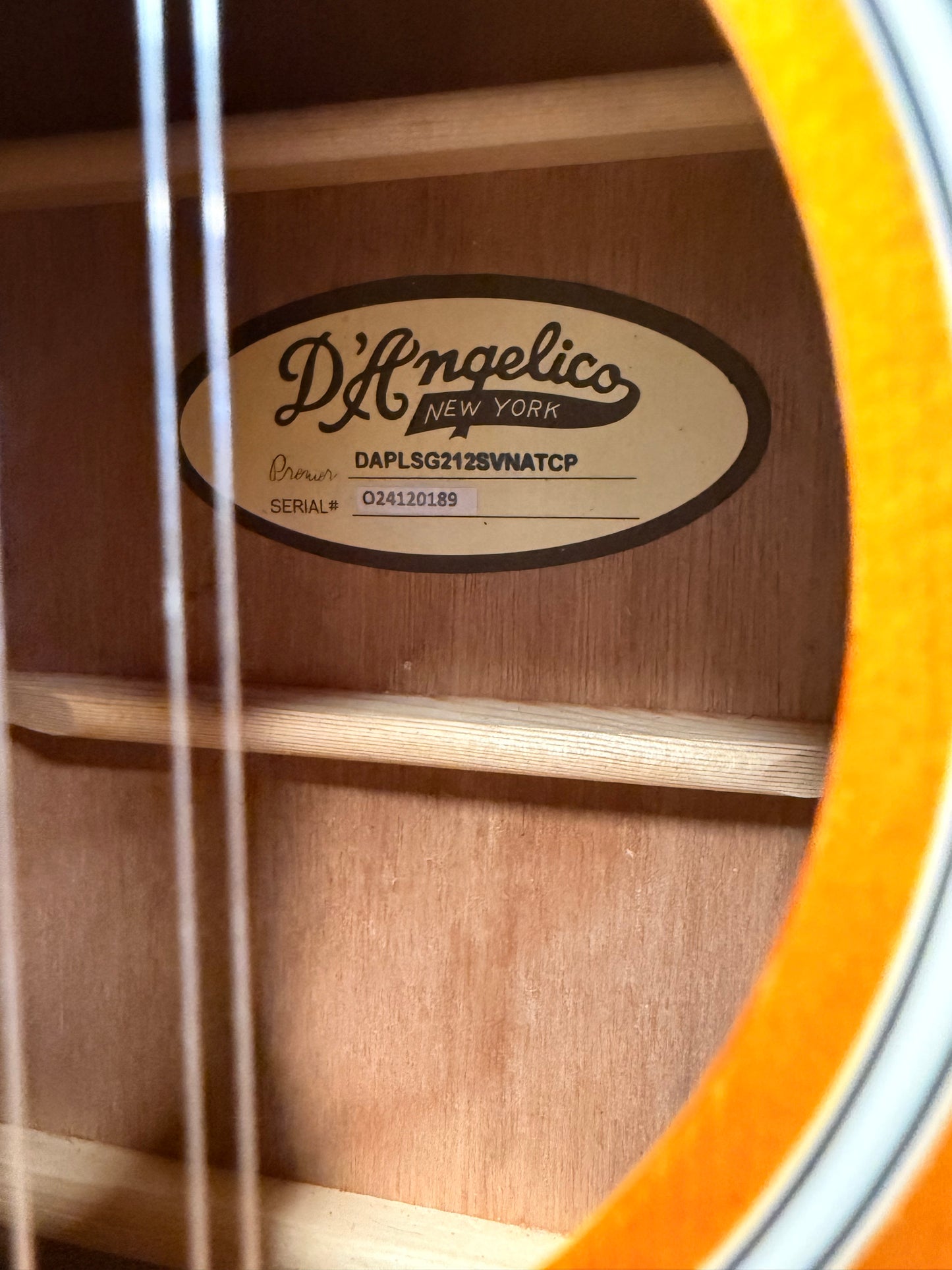 Dangelico LS Fulton 12 String
