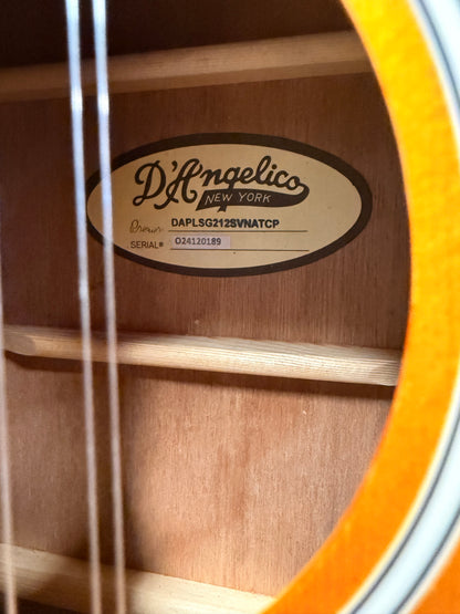 Dangelico LS Fulton 12 String