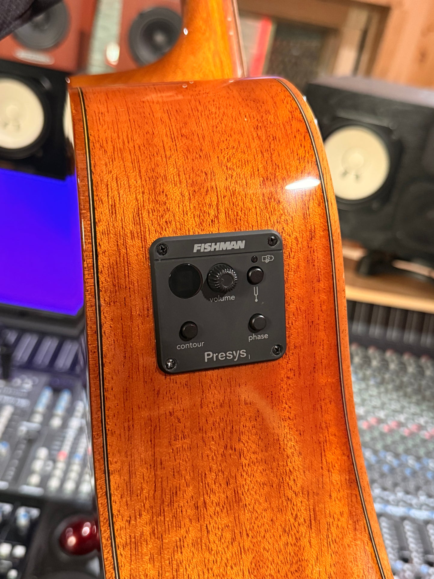 Karma Enso 12 string