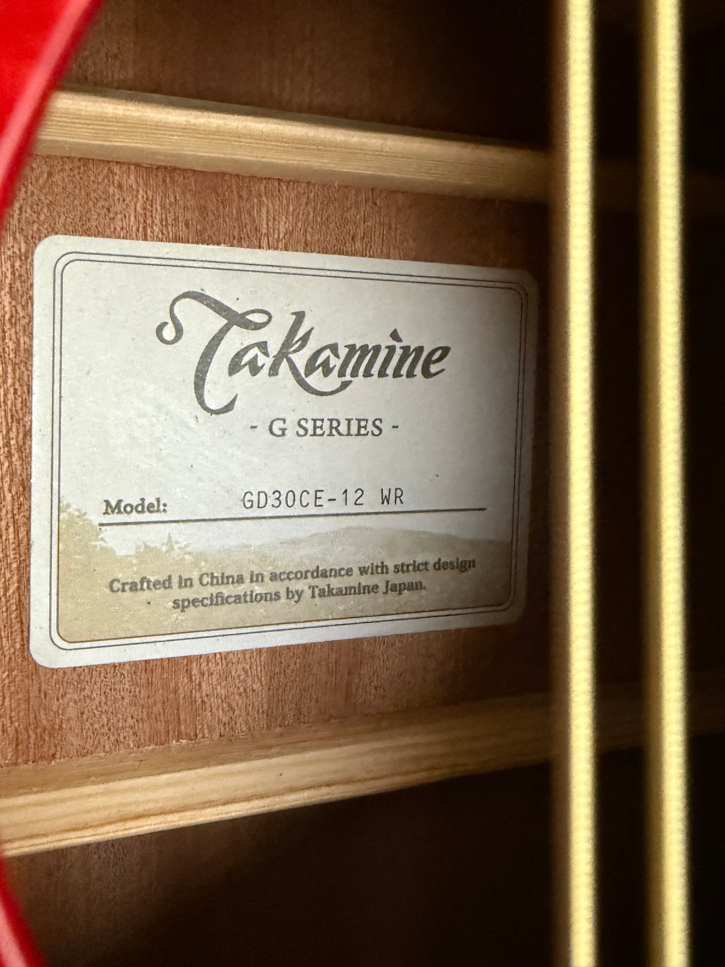 Takamine Gd30ce-12 RW Custom