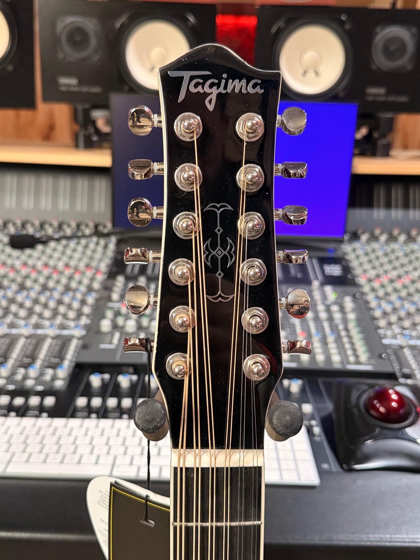 Taguima Sierreña 12 White