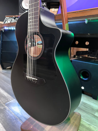 Custom Breedlove Black 12 String