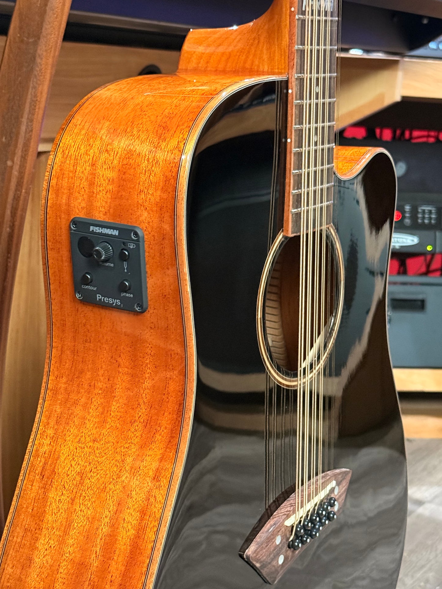 Karma Enso 12 string