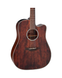 Takamine GD21CE