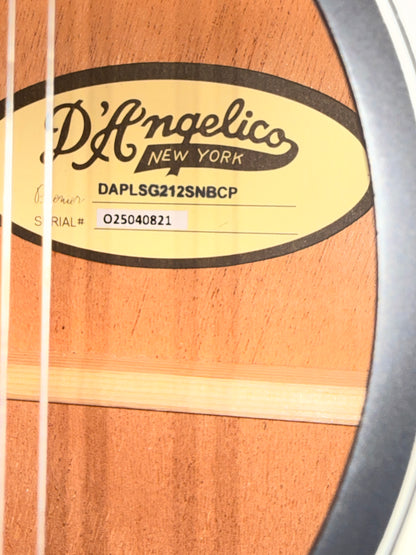 Dangelico LS Black 12 String