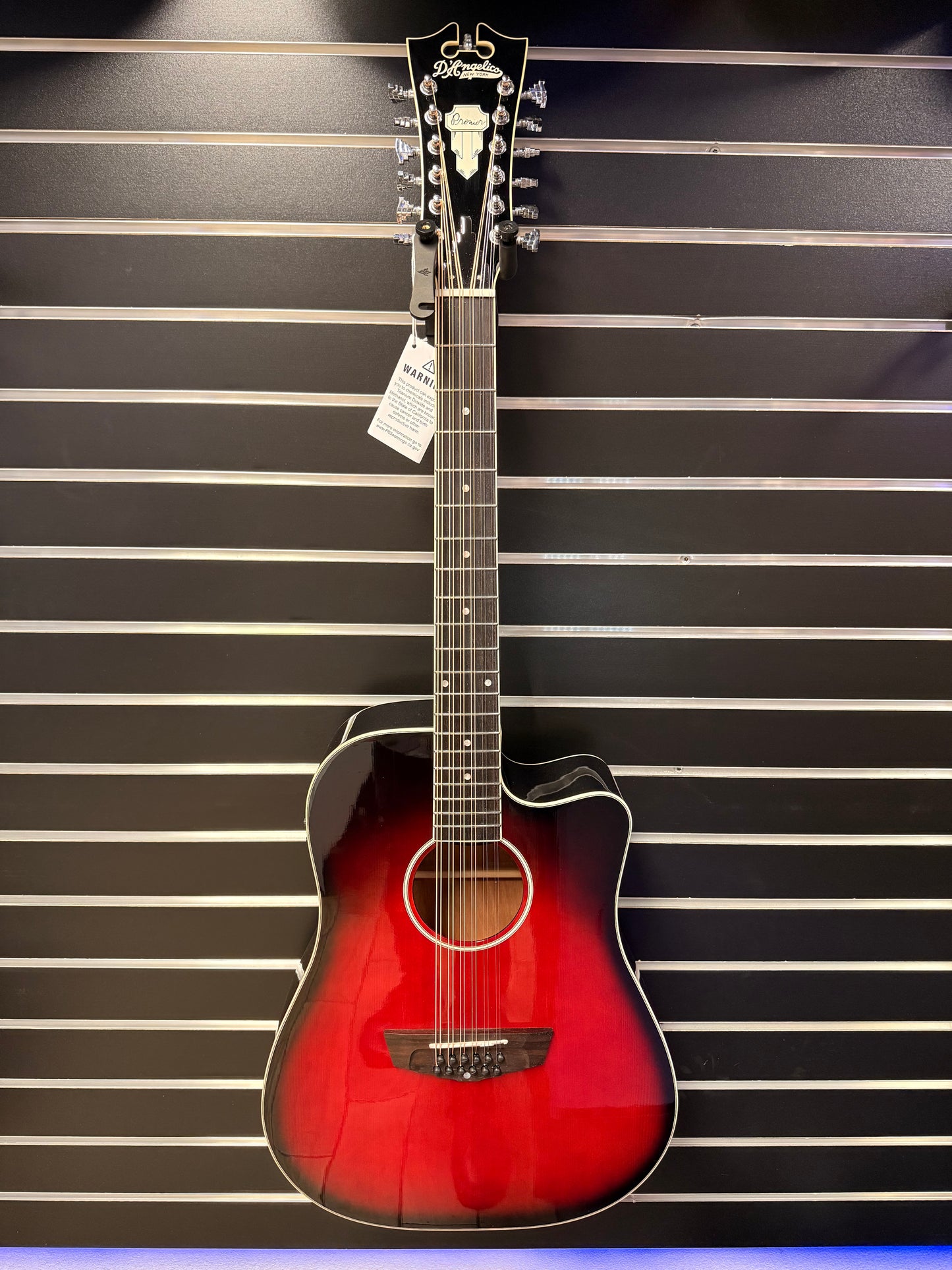 Dangelico Bowery 12 String