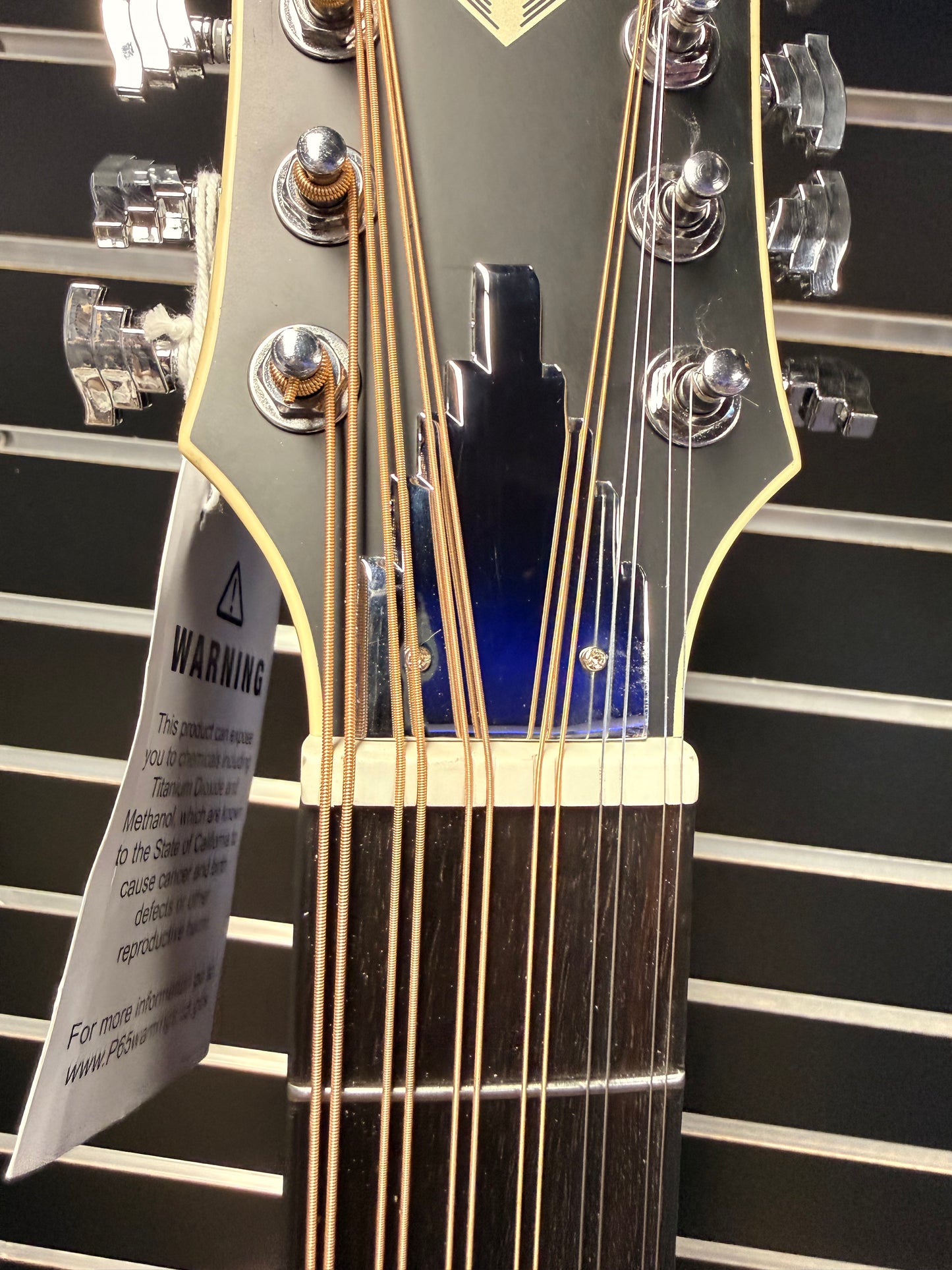 Dangelico LS Fulton 12 String