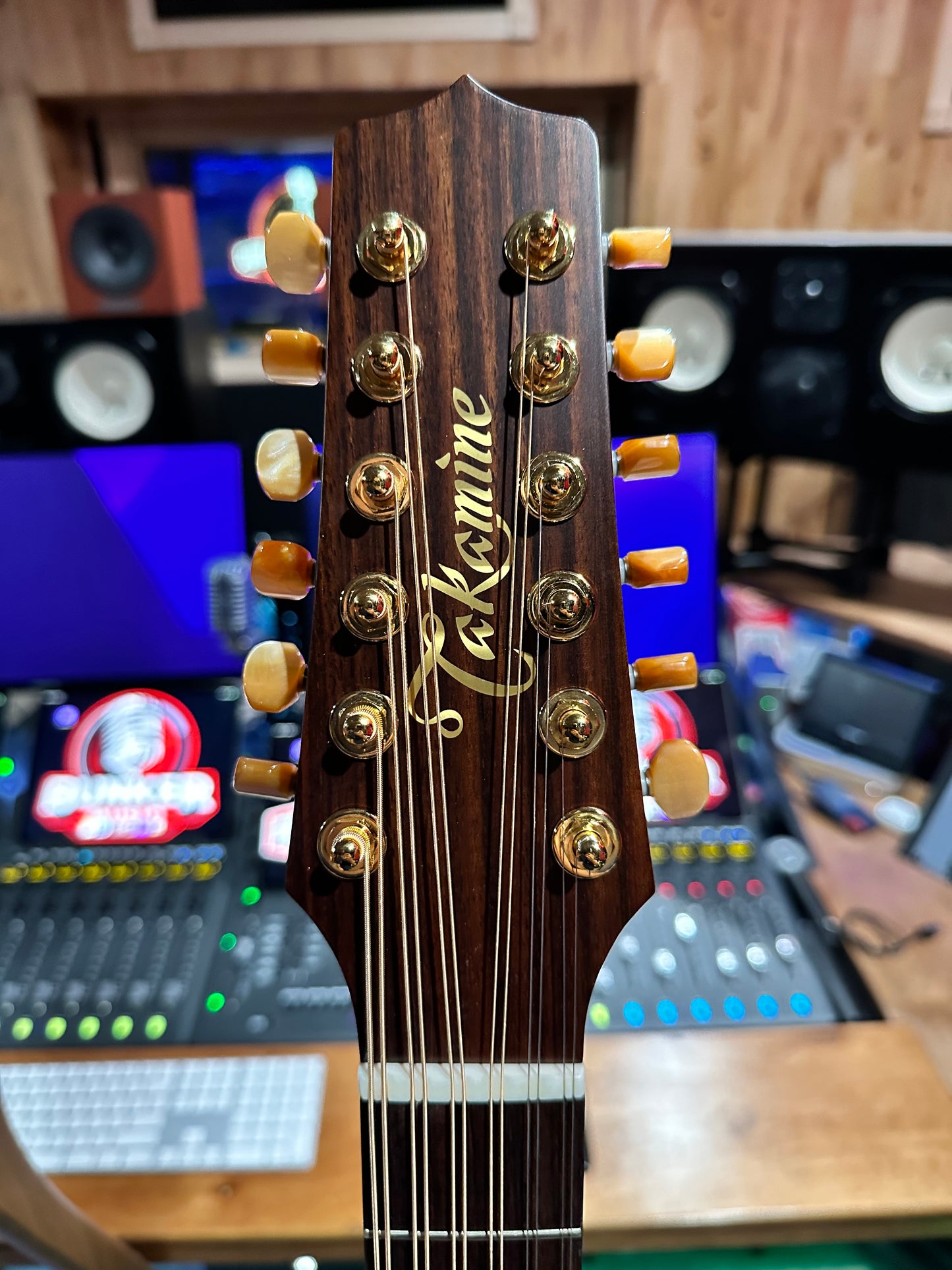 Takamine P3DC-12