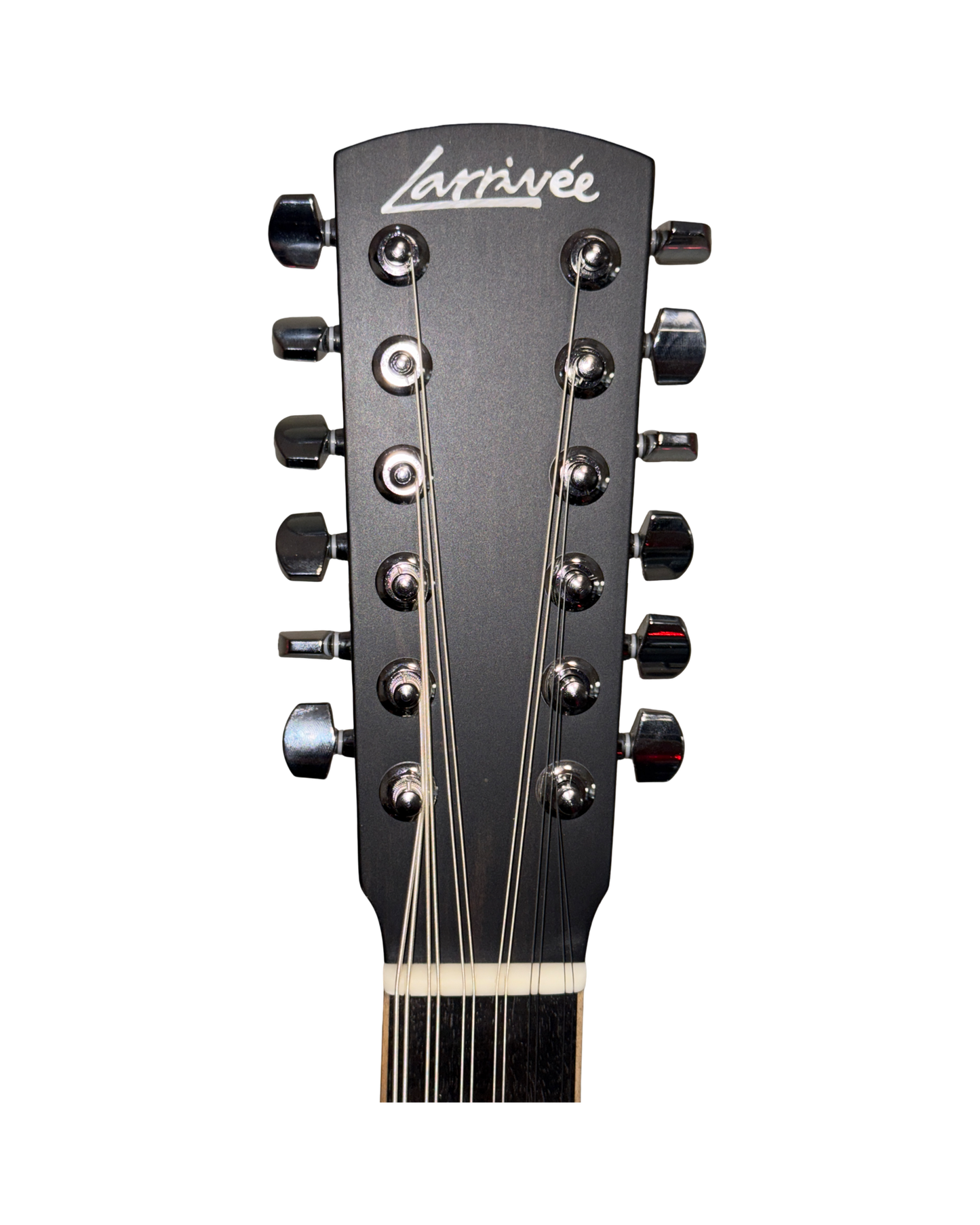 Larrivee 12 String