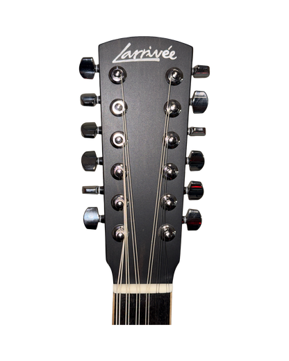 Larrivee 12 String